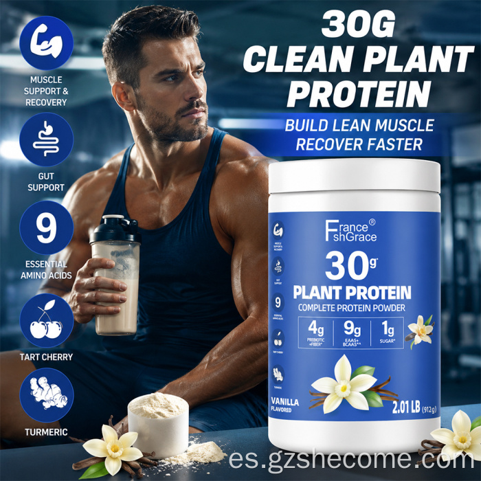 Apoyo a la recuperación muscular en polvo de proteína vegetal Shecome